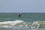 Click to see Y-DP-0631.JPG