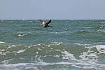 Click to see Y-DP-0634.JPG