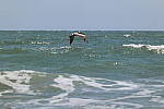 Click to see Y-DP-0636.JPG