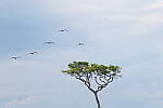 Click to see Y-DP-0653.JPG