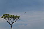 Click to see Y-DP-0654.JPG
