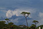 Click to see Y-DP-0656.JPG