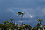 Click to see Y-DP-0669.JPG