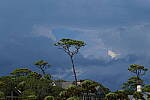 Click to see Y-DP-0670.JPG