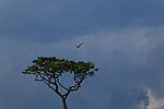 Click to see Y-DP-0676.JPG