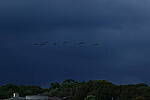 Click to see Y-DP-0684.JPG