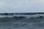 Click to see Y-DP-0702.JPG