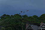 Click to see Y-DP-0703.JPG