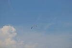 Click to see Y-DP-0941.JPG