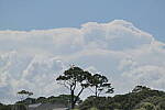 Click to see Y-DP-0943.JPG