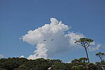 Click to see Y-DP-0950.JPG