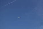 Click to see Y-DP-0959.JPG