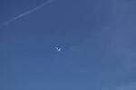 Click to see Y-DP-0961.JPG