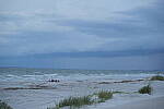 Click to see Y-DP-0976.JPG