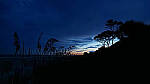 Click to see Y-DP-0994-edt.jpg