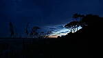Click to see Y-DP-0994.JPG