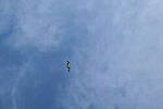 Click to see Y-DP-10008.JPG
