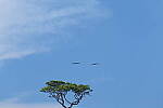 Click to see Y-DP-10021.JPG