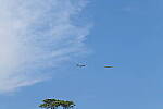 Click to see Y-DP-10029.JPG