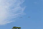 Click to see Y-DP-10030.JPG