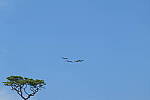 Click to see Y-DP-10045.JPG