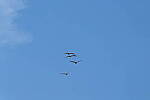 Click to see Y-DP-10047.JPG