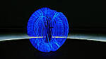 Click to see Y-DP-1006-LC-edt.jpg