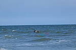 Click to see Y-DP-10067.JPG