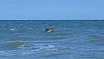 Click to see Y-DP-10069-edt.JPG