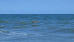 Click to see Y-DP-10070-edt.JPG