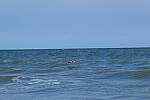 Click to see Y-DP-10070.JPG