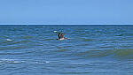 Click to see Y-DP-10071-edt.JPG