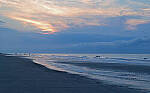 Click to see Y-DP-10161-edt.jpg