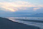Click to see Y-DP-10161.JPG