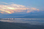 Click to see Y-DP-10166-edt.jpg