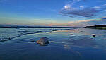 Click to see Y-DP-1023-edt.jpg