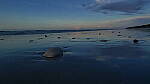 Click to see Y-DP-1026.JPG