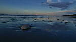 Click to see Y-DP-1027.JPG