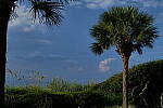Click to see Y-DP-10315.JPG