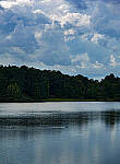Click to see Y-DP-85mm-1238-EDT.JPG