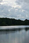 Click to see Y-DP-85mm-1238.JPG