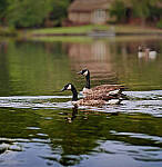 Click to see Y-DP-85mm-1334-EDT.JPG