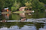 Click to see Y-DP-85mm-1334.JPG