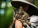 Click to see Y-DP-85mm-1381-EDT.JPG