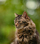 Click to see Y-DP-85mm-1387-EDT.JPG