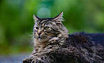 Click to see Y-DP-85mm-1392-EDT.JPG