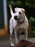 Click to see Y-DP-85mm-1424-EDT.JPG