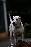 Click to see Y-DP-85mm-1424.JPG