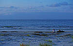 Click to see Y-DP-P1011062-edt.jpg