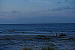 Click to see Y-DP-P1011062.JPG